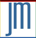 Jason McDonald Consulting