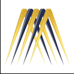 MetaSense Digital Marketing Management Inc.