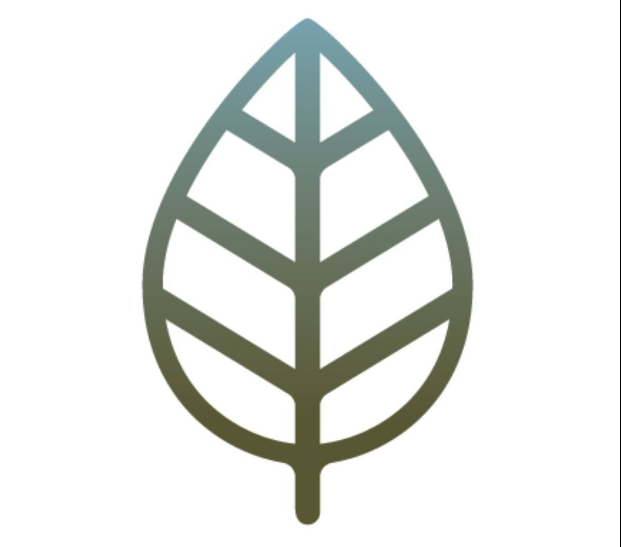 The AD Leaf Marketing Firm Studio Orlando